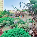 Bnbisrael Apartments - Markolet Camelia
